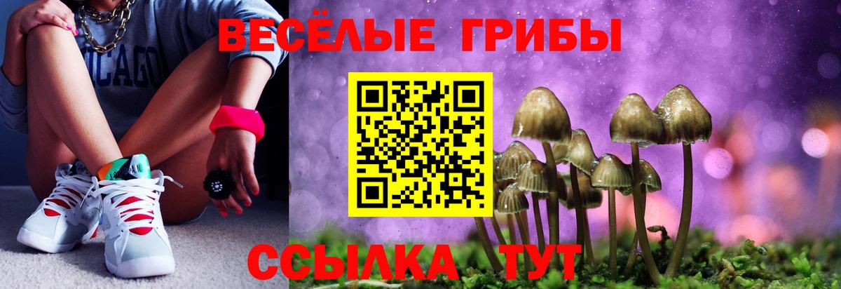 Псилоцибиновые грибы Psilocybine cubensis Аргун