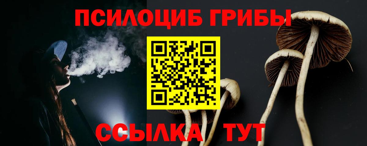 Аргун  Галлюциногенные грибы прущие грибы  Вход с VPN 